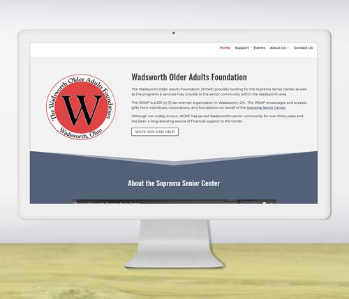 Portfolio website design for non-profit foundation